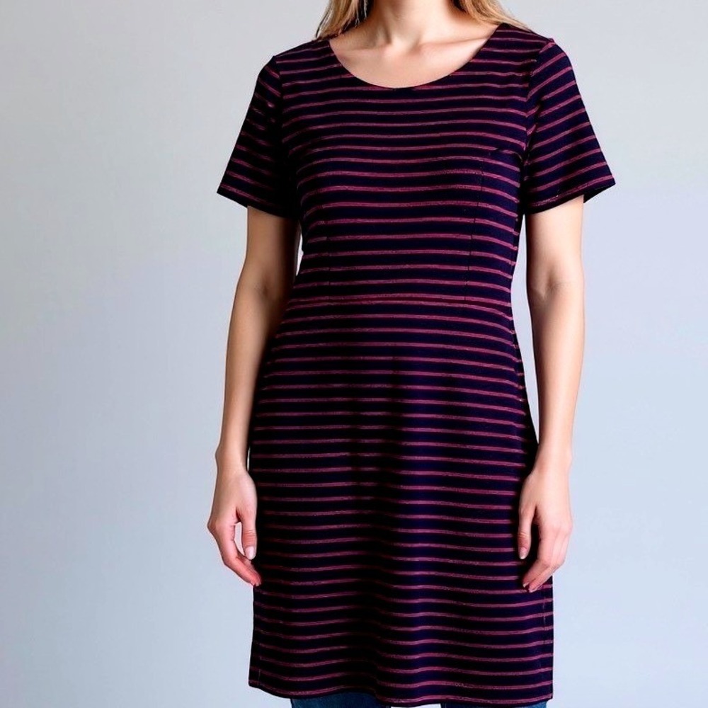 Banana Republic Striped Dress Women 0 Navy Blue Burgundy Scoop Neck Short Sleeve